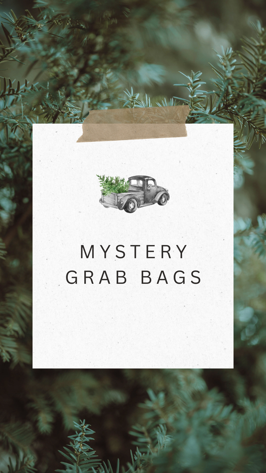 Mystery Grab Bag
